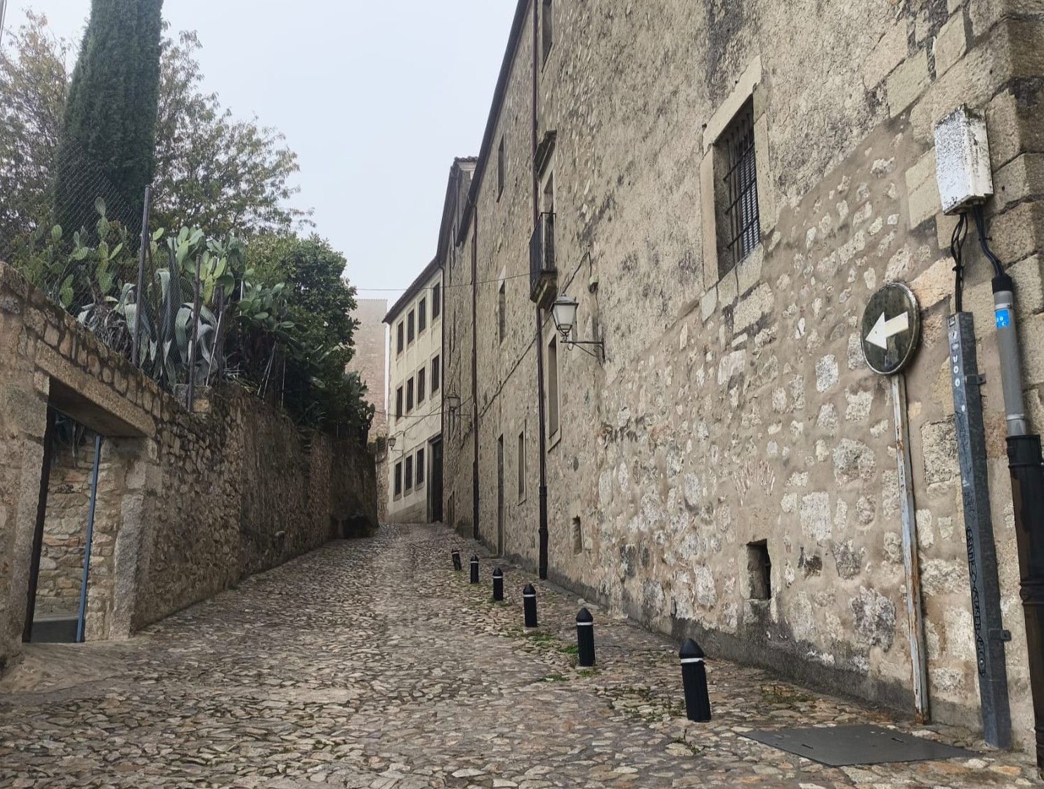 La calle tendrá el nombre de 'Antonia María Hernández Moreno' .