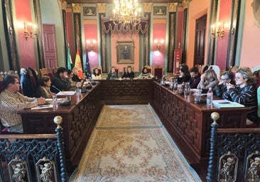 La sesión plenaria celebrada este miércoles