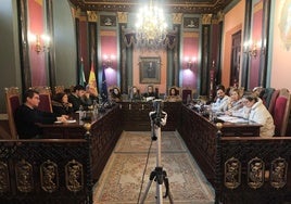 Sesión plenaria de la corporación municipal en el Ayuntamiento.