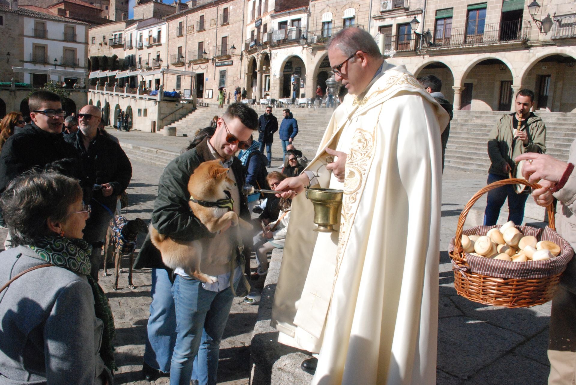 Bendición de los animales por San Antón