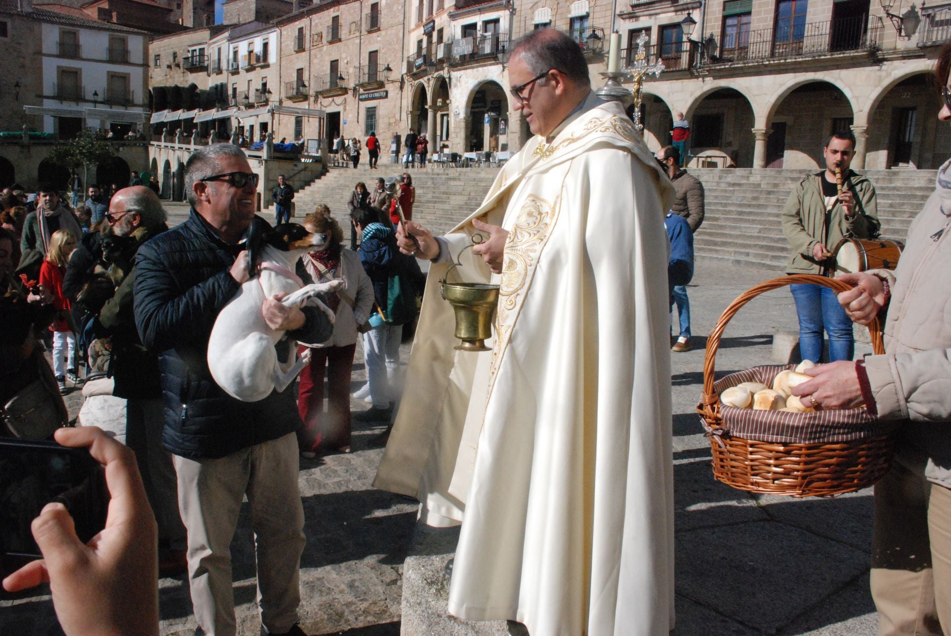 Bendición de los animales por San Antón