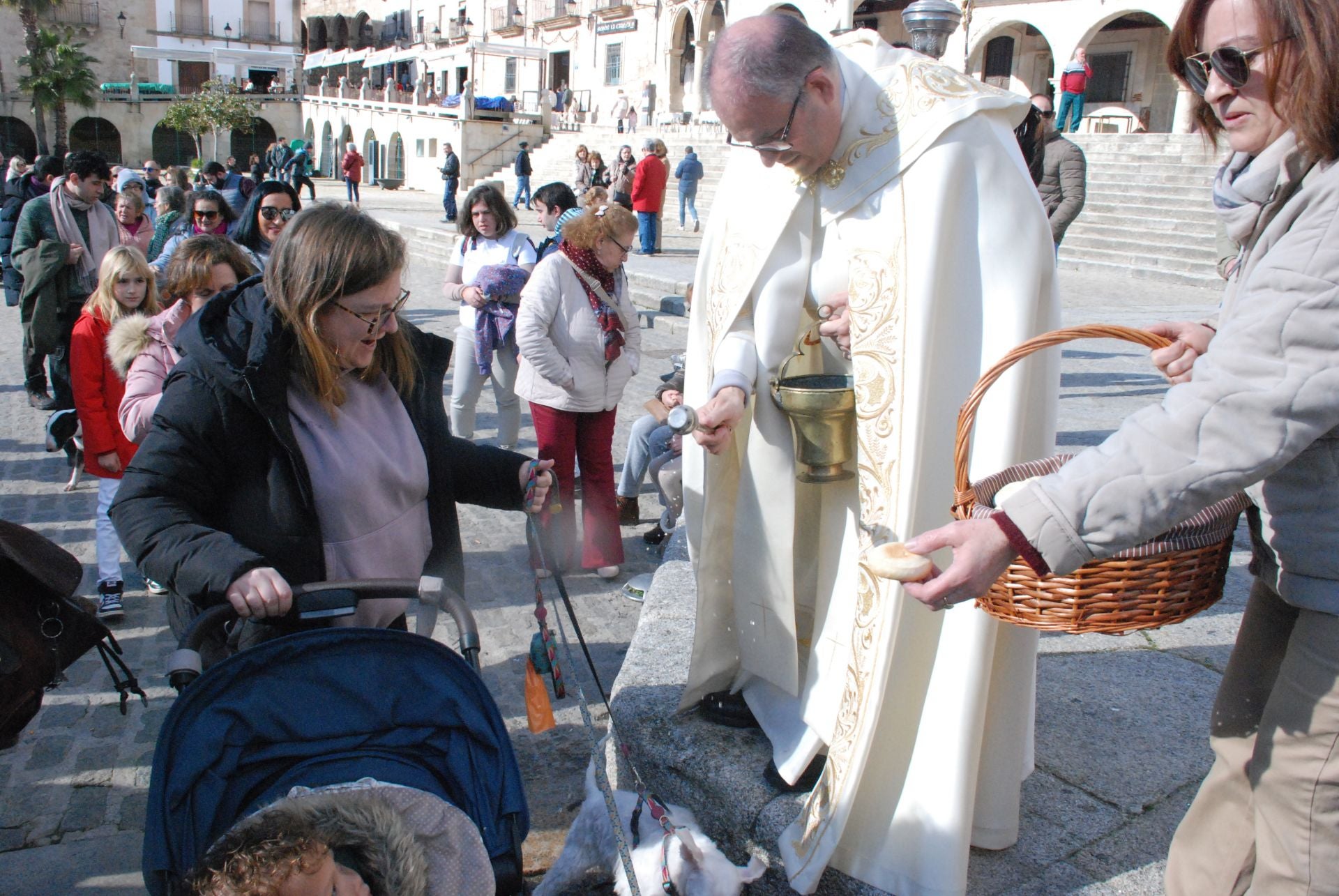 Bendición de los animales por San Antón