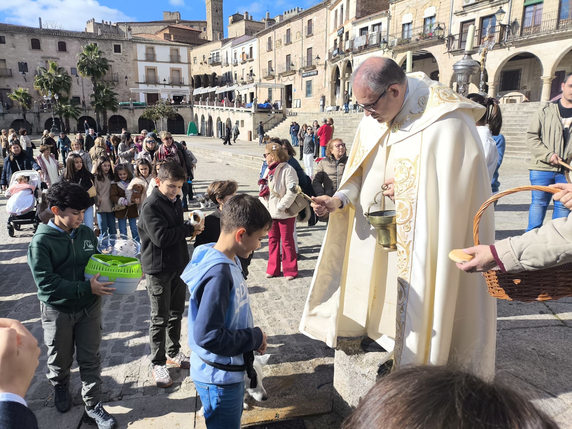 Bendición de los animales por San Antón