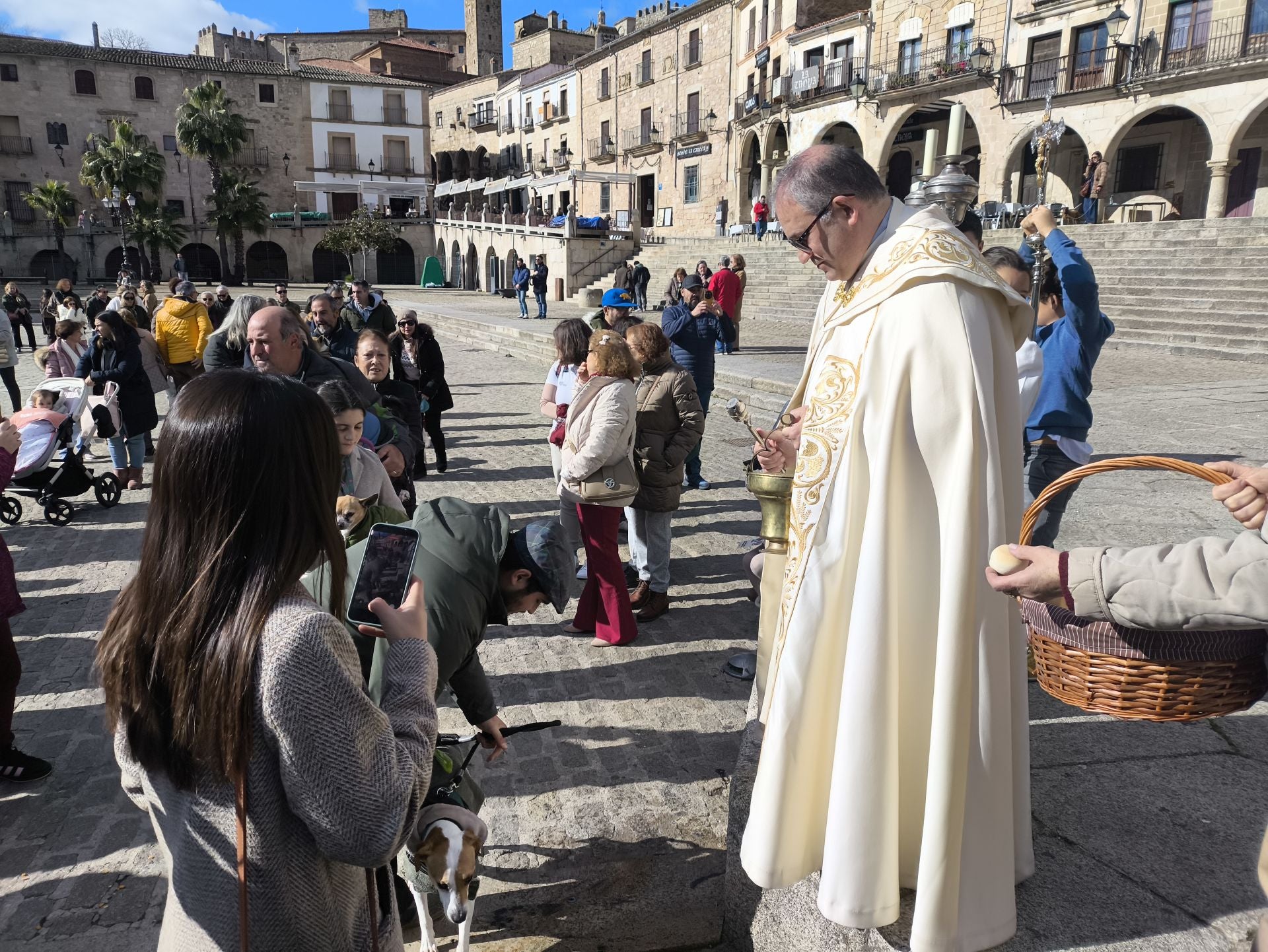 Bendición de los animales por San Antón