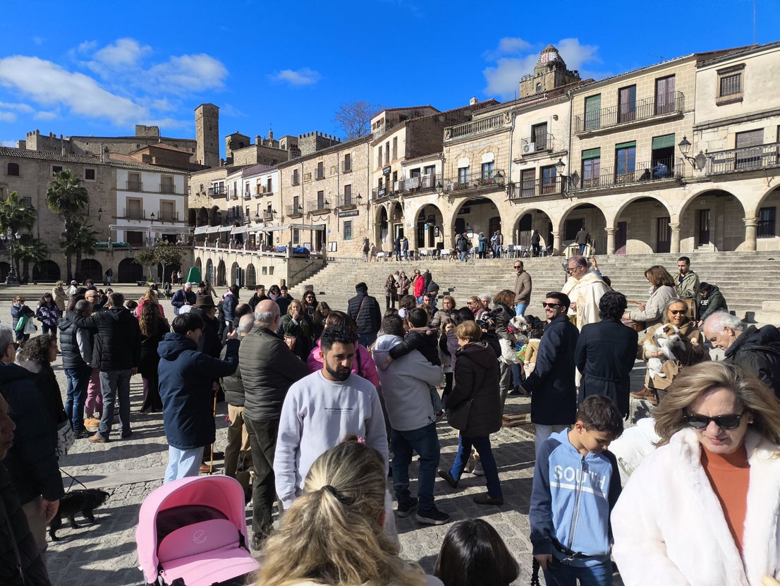 Bendición de los animales por San Antón