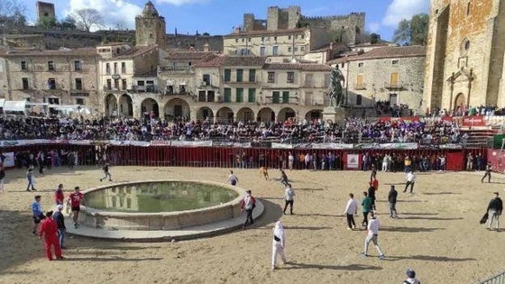 Los festejos taurinos de los carnavales, pendiente de la licitación