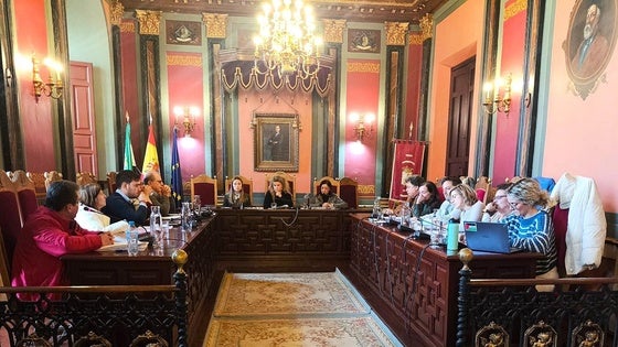 El Pleno aprueba la reapertura del aula de bebés de las guarderías