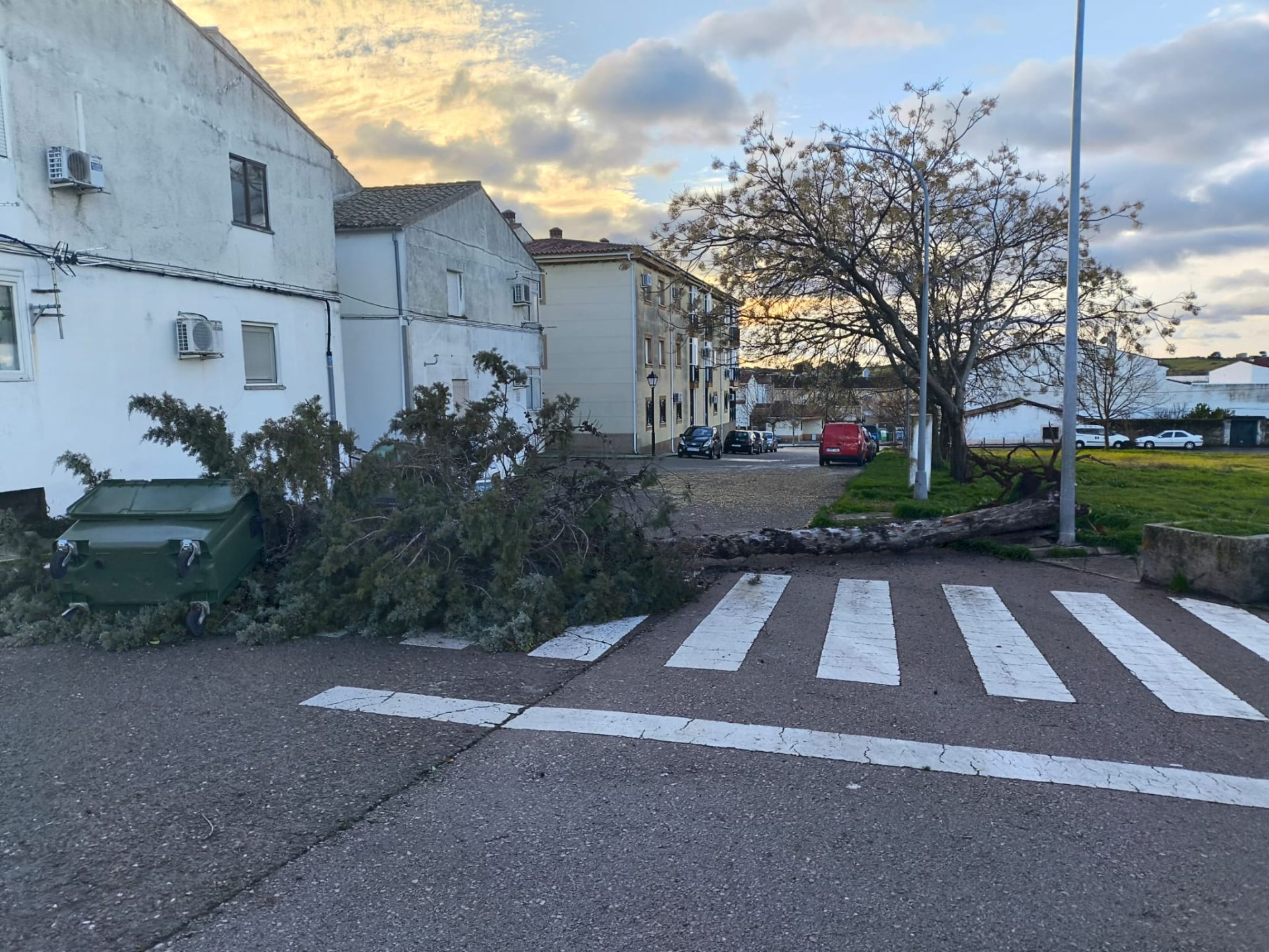 Imagen principal - El temporal deja árboles caídos, carteles doblados y cornisas dañadas