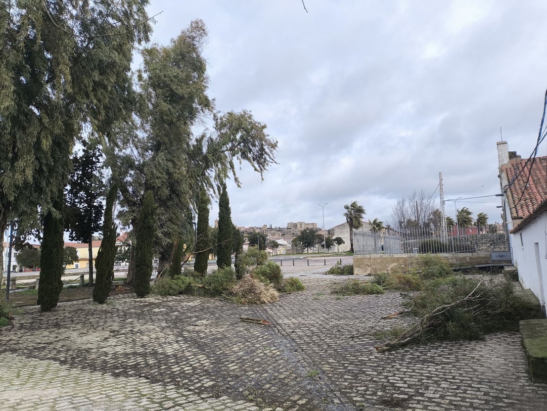 El temporal provoca diferentes incidencias