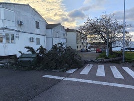 El temporal provoca diferentes incidencias