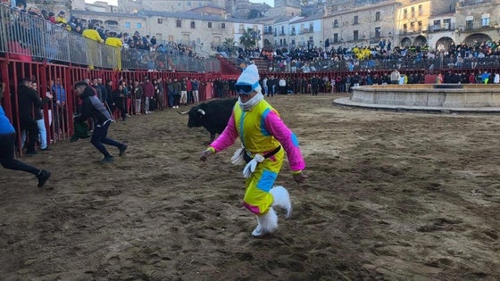 El sol y el frío acompañan a los festejos taurinos con buena participación