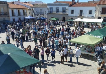 Participación en la ruta de la tapa de Huertas de Ánimas.