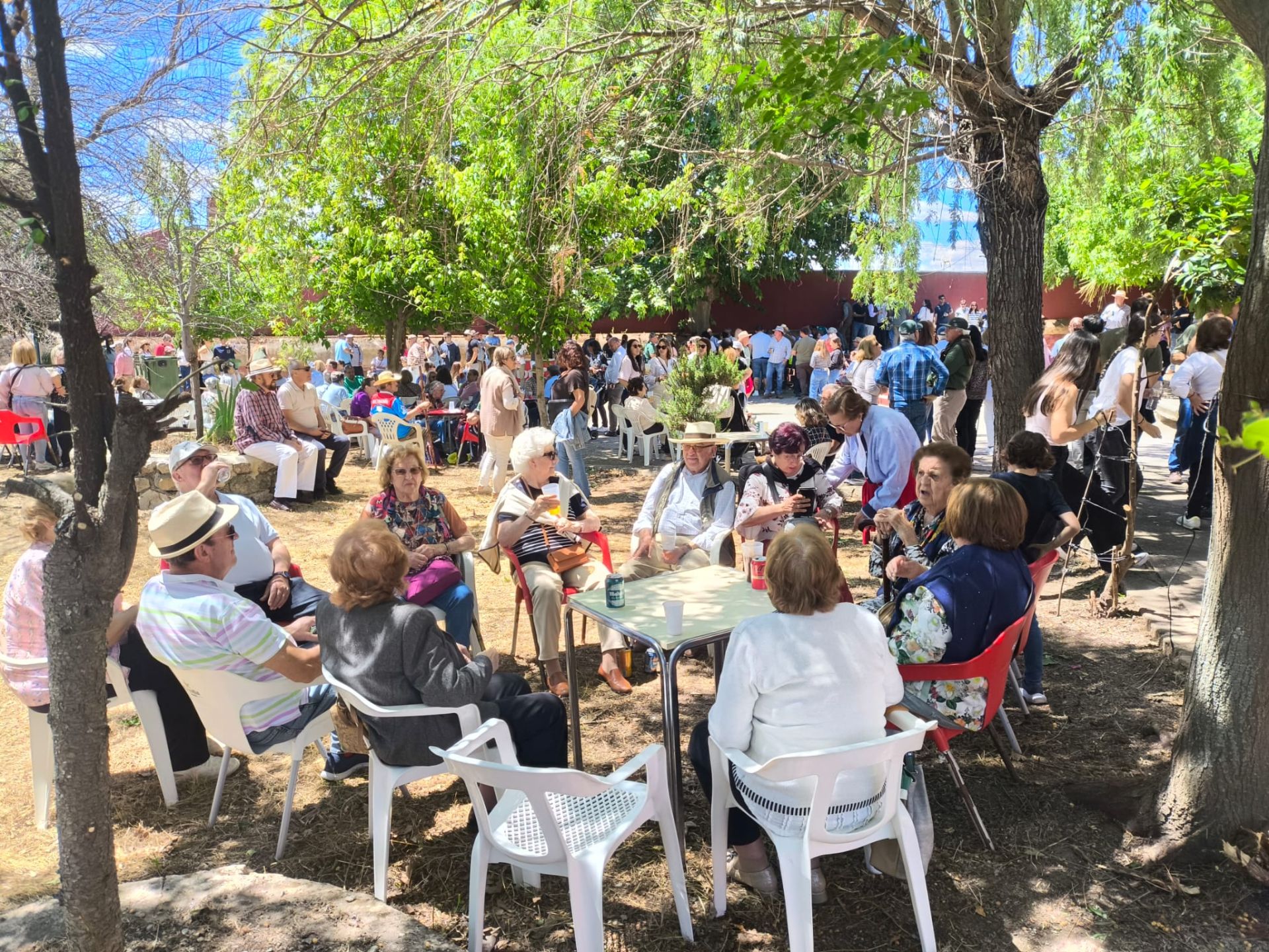 Imagen principal - Huertas de Ánimas se vuelca una vez más con la fiesta de la trashumancia
