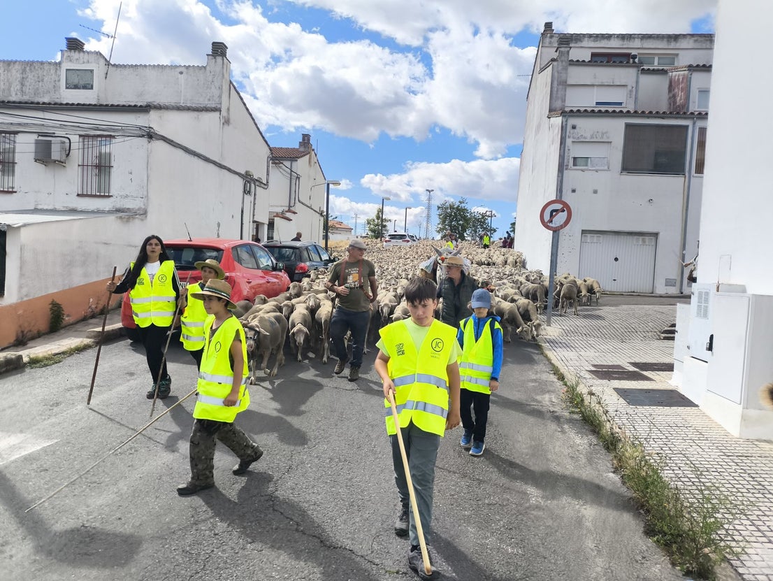 Una jornada dedicada a la trashumancia