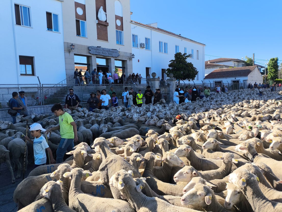 Una jornada dedicada a la trashumancia