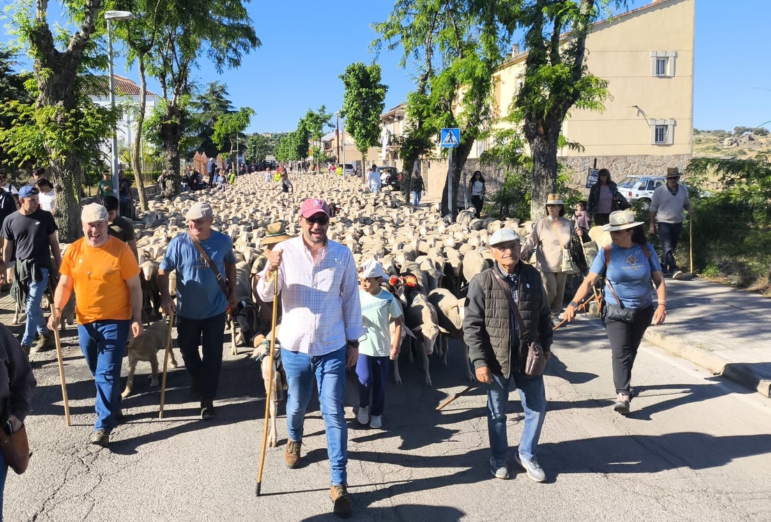 Una jornada dedicada a la trashumancia