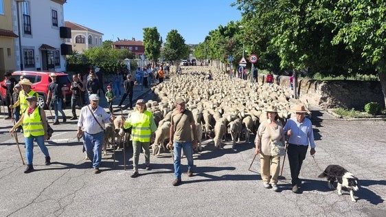 Una jornada dedicada a la trashumancia