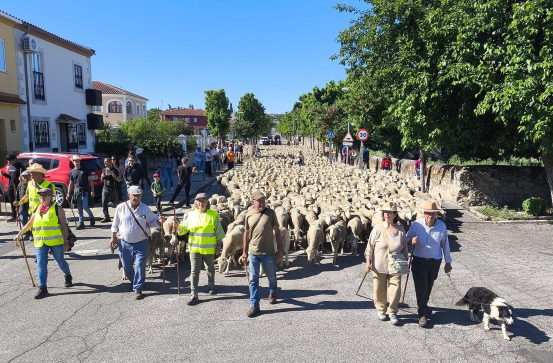 Una jornada dedicada a la trashumancia