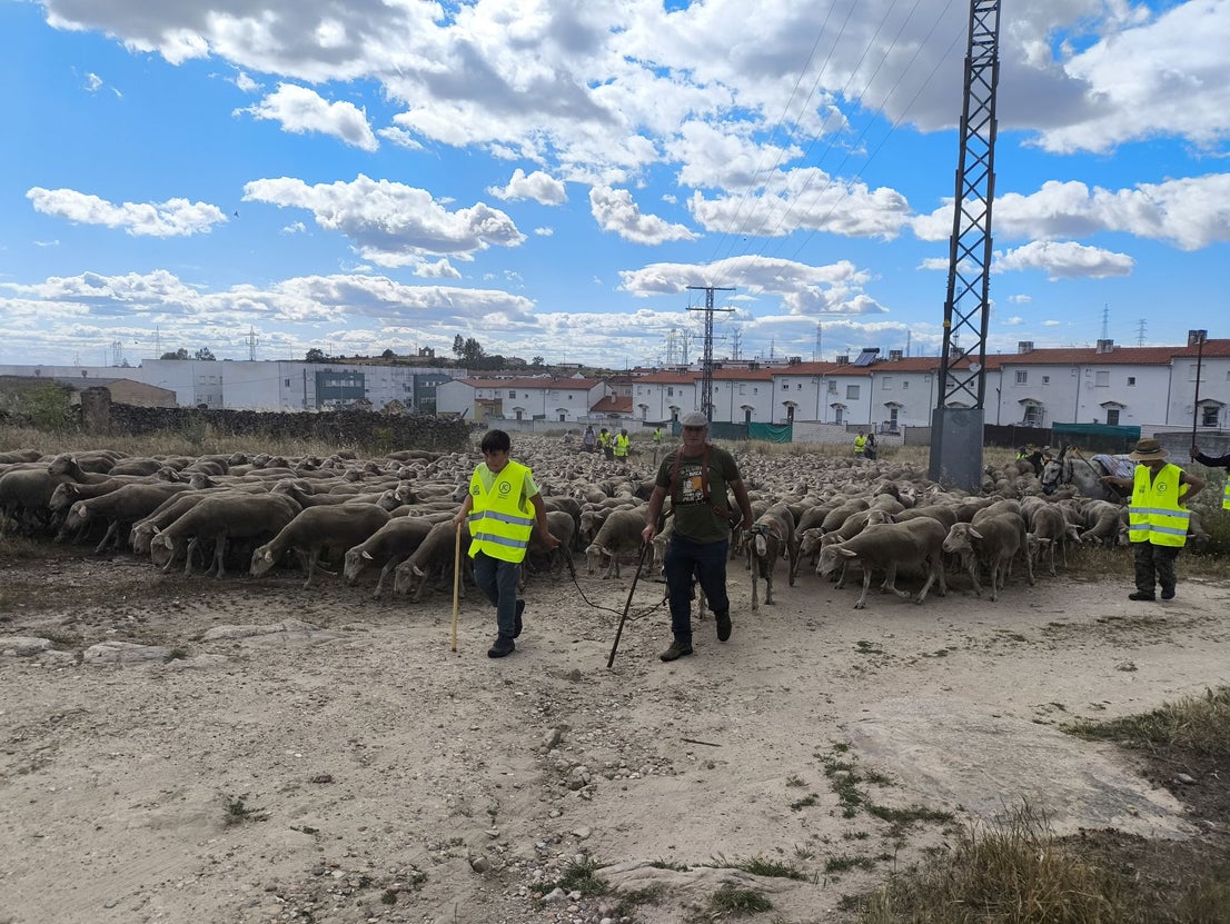 Una jornada dedicada a la trashumancia
