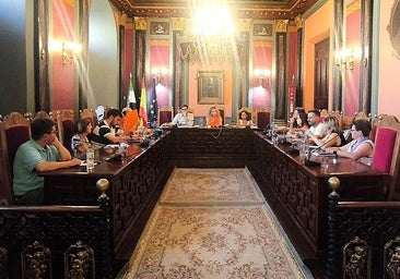 El plan de igualdad se llevará a sesión plenaria para su aprobación, si procede