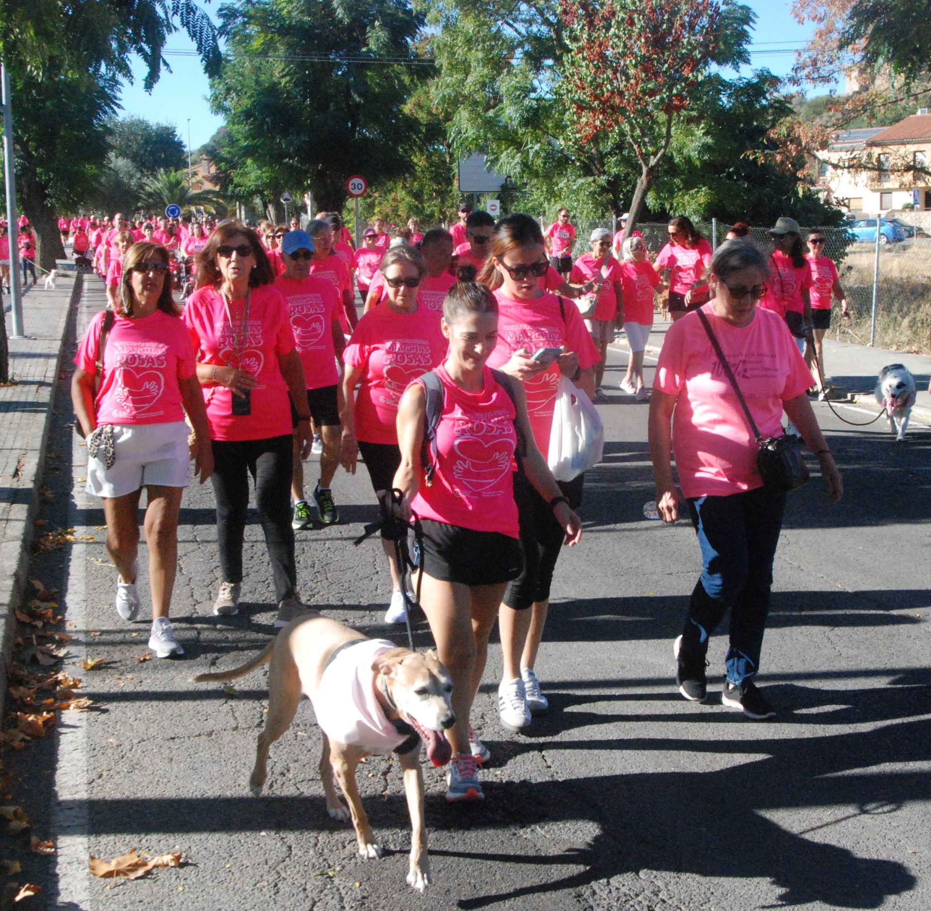 Imagen secundaria 2 - La Marcha contra el Cáncer consigue 2.135 apoyos