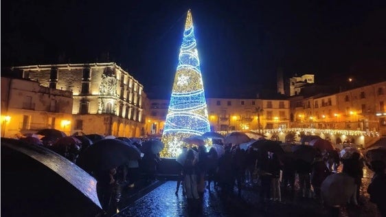 El Consistorio quiere un árbol de Navidad de unos 15 metros de altura en la plaza Mayor