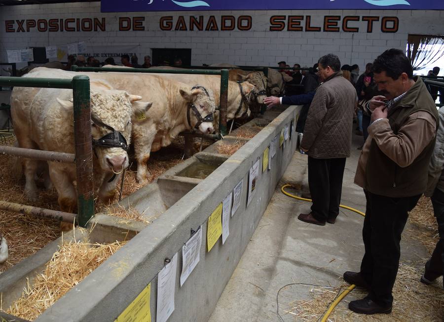 La Agroganadera 2016 registra los mejores números en visitantes y en transacciones económicas
