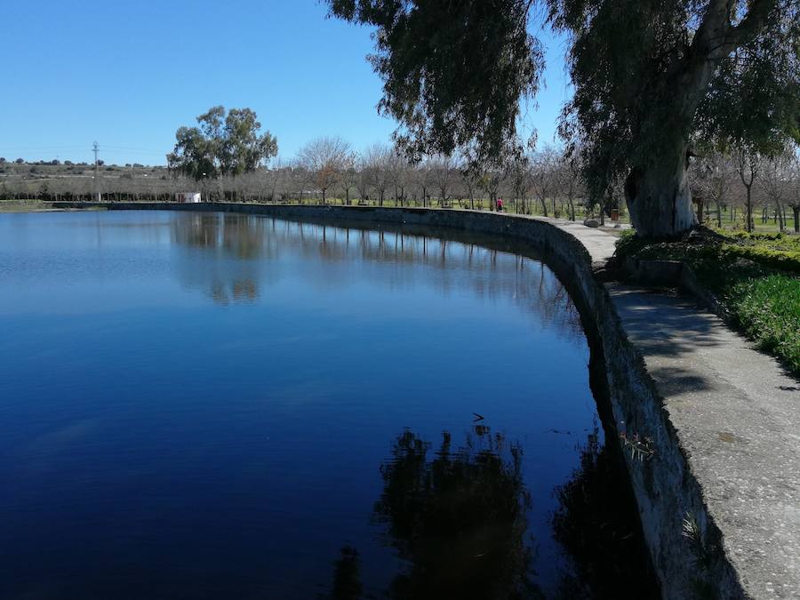 La charca de San Lázaro está pendiente de permisos para que pueda tener más agua
