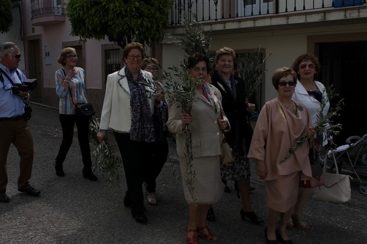 Algunas imágenes del Domingo de Ramos con la procesión de la Burrita como protagonista en el inicio de la Semana Santa en Valverde de Leganés (14-04-2019)