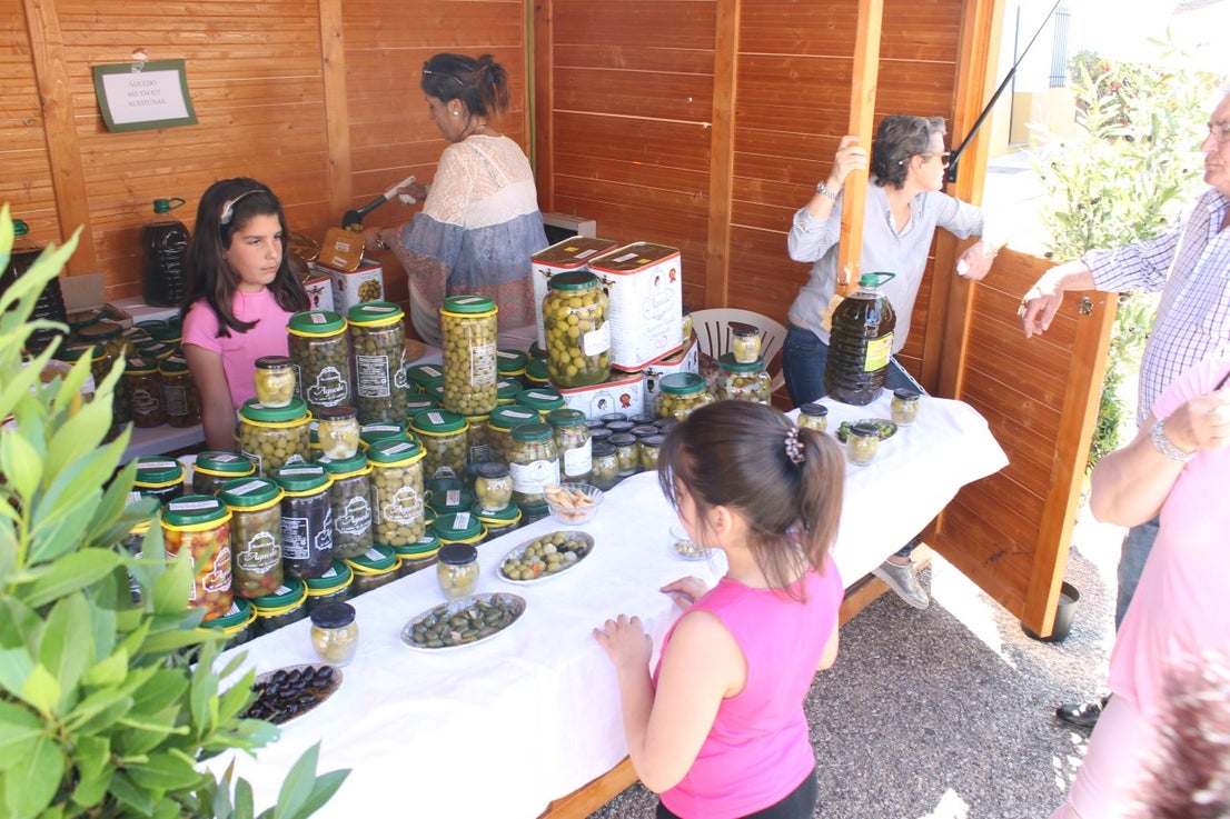 Imágenes de las actividades del sábado de la novena edición de 'Vive la Trashumancia' (04-05-2019)