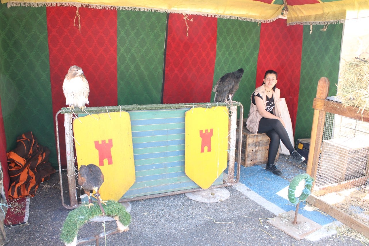 Imágenes de las actividades del sábado de la novena edición de 'Vive la Trashumancia' (04-05-2019)