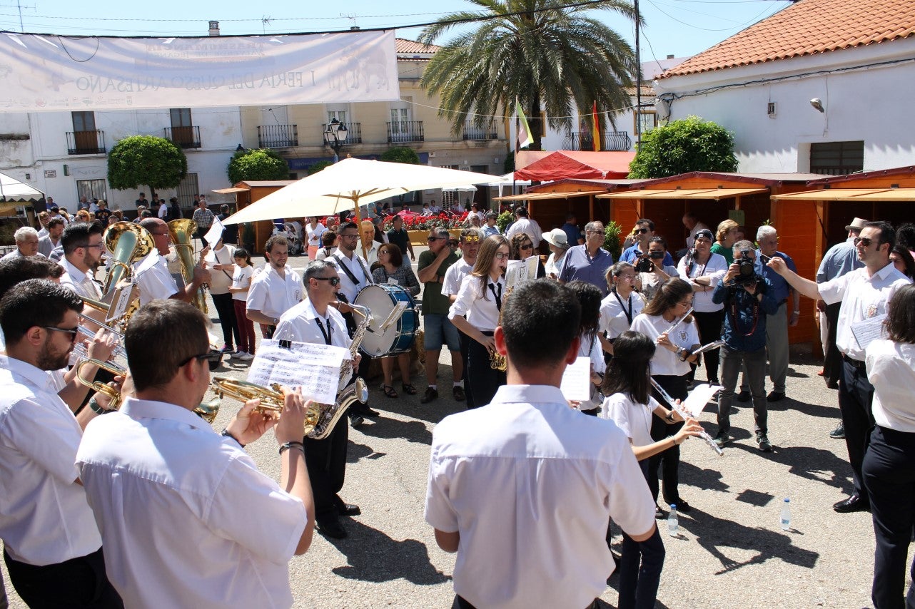 Imágenes de las actividades del sábado de la novena edición de 'Vive la Trashumancia' (04-05-2019)
