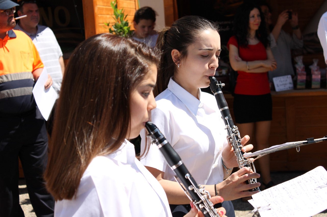 Imágenes de las actividades del sábado de la novena edición de 'Vive la Trashumancia' (04-05-2019)