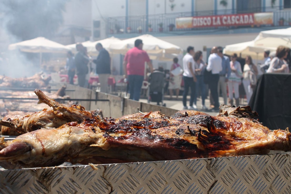 Imágenes de las actividades del sábado de la novena edición de 'Vive la Trashumancia' (04-05-2019)