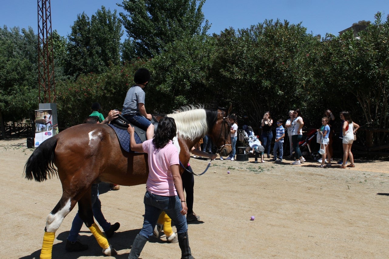 Imágenes de las actividades del sábado de la novena edición de 'Vive la Trashumancia' (04-05-2019)