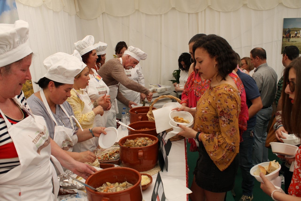 Imágenes de las actividades del sábado de la novena edición de 'Vive la Trashumancia' (04-05-2019)