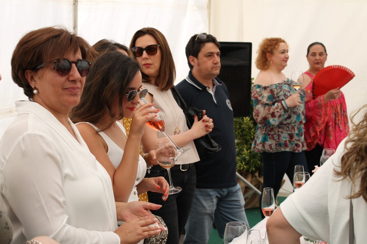 Imágenes de las actividades del sábado de la novena edición de 'Vive la Trashumancia' (04-05-2019)