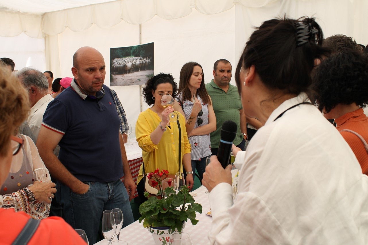 Imágenes de las actividades del sábado de la novena edición de 'Vive la Trashumancia' (04-05-2019)