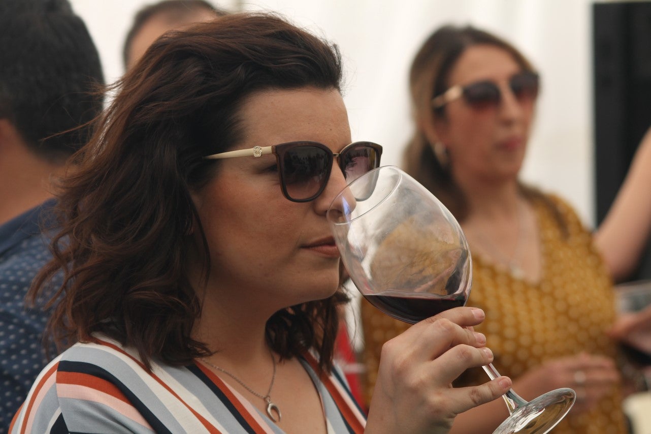 Imágenes de las actividades del sábado de la novena edición de 'Vive la Trashumancia' (04-05-2019)