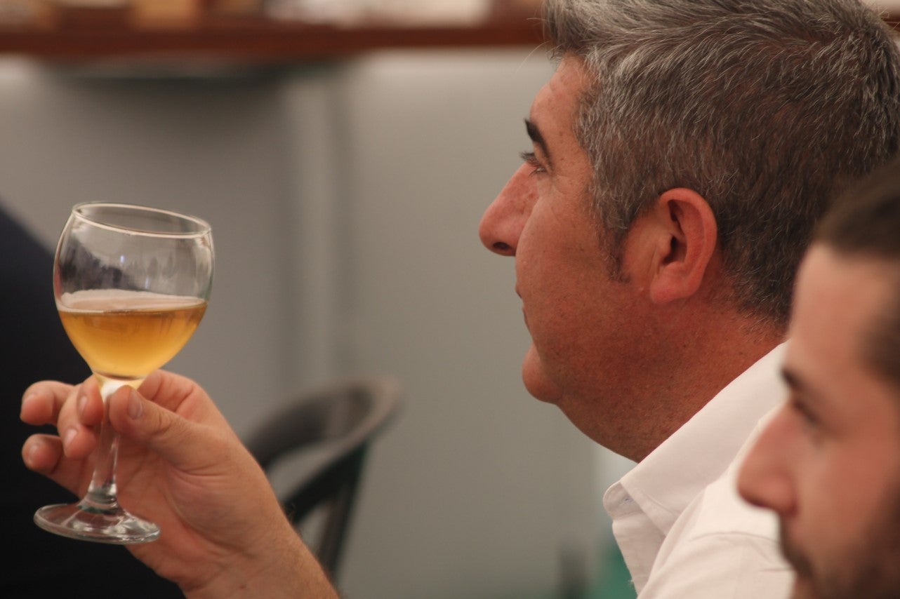 Imágenes de las actividades del sábado de la novena edición de 'Vive la Trashumancia' (04-05-2019)