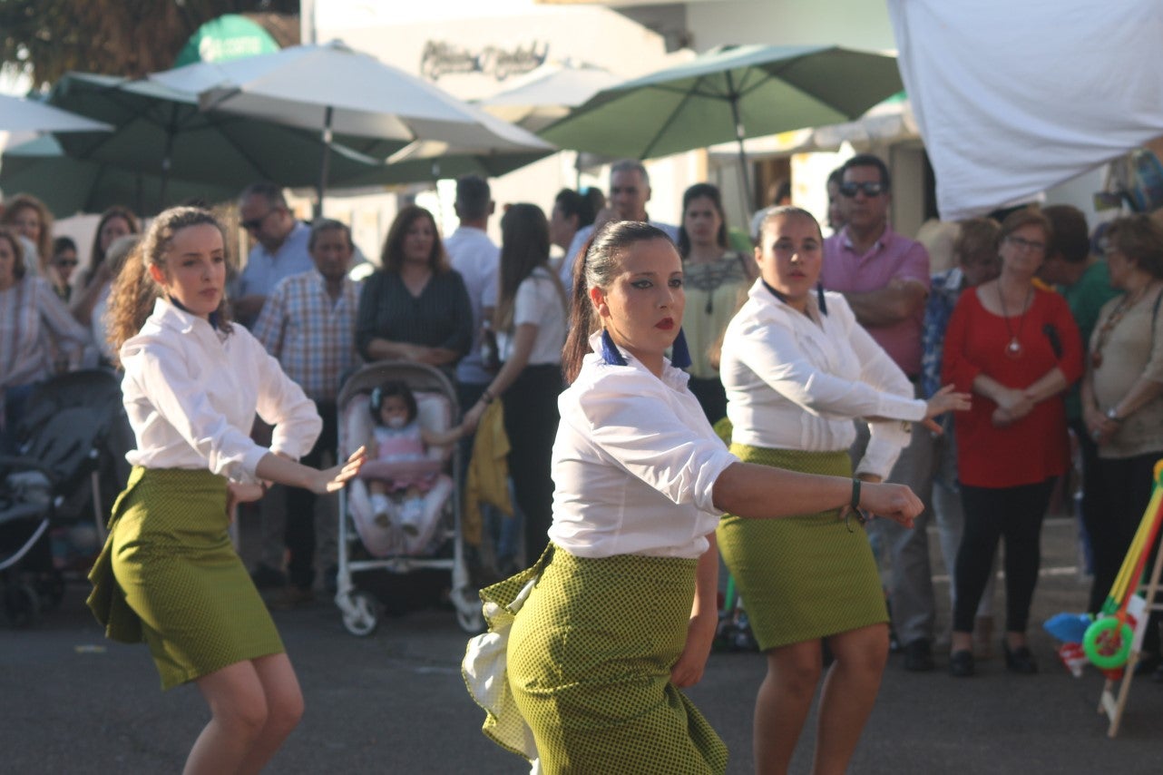 Imágenes de las actividades del sábado de la novena edición de 'Vive la Trashumancia' (04-05-2019)