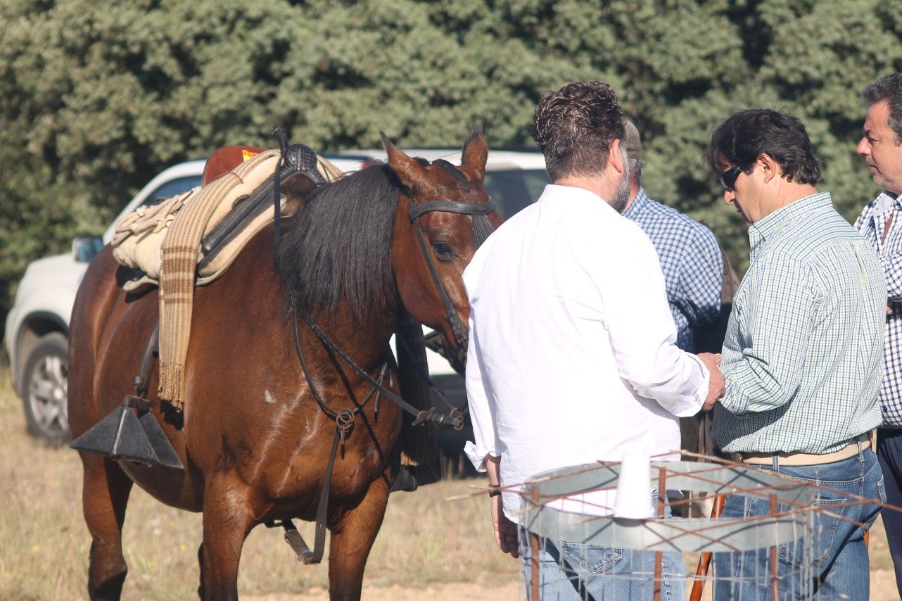 Imáenes de las actividades desarrolladas el domingo en la novena edición de 'vive la Trashumancia' (05-05-2019)