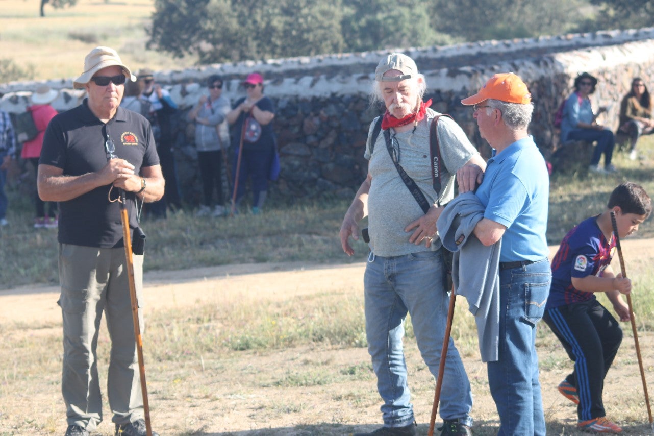 Imáenes de las actividades desarrolladas el domingo en la novena edición de 'vive la Trashumancia' (05-05-2019)