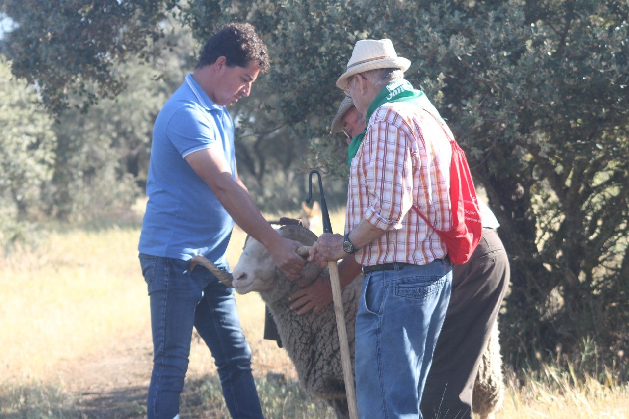 Imáenes de las actividades desarrolladas el domingo en la novena edición de 'vive la Trashumancia' (05-05-2019)