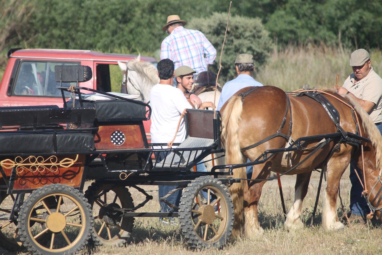 Imáenes de las actividades desarrolladas el domingo en la novena edición de 'vive la Trashumancia' (05-05-2019)