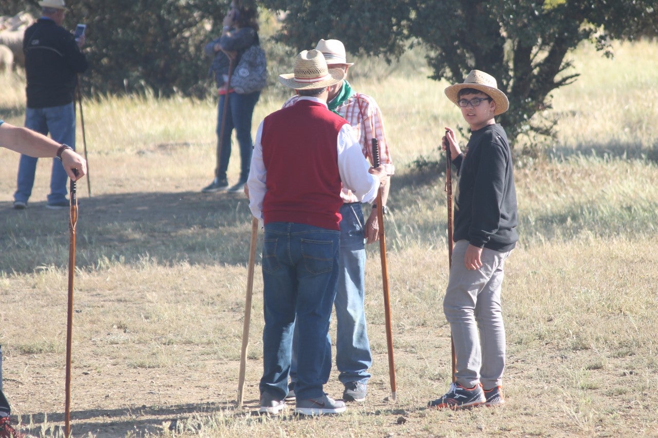 Imáenes de las actividades desarrolladas el domingo en la novena edición de 'vive la Trashumancia' (05-05-2019)