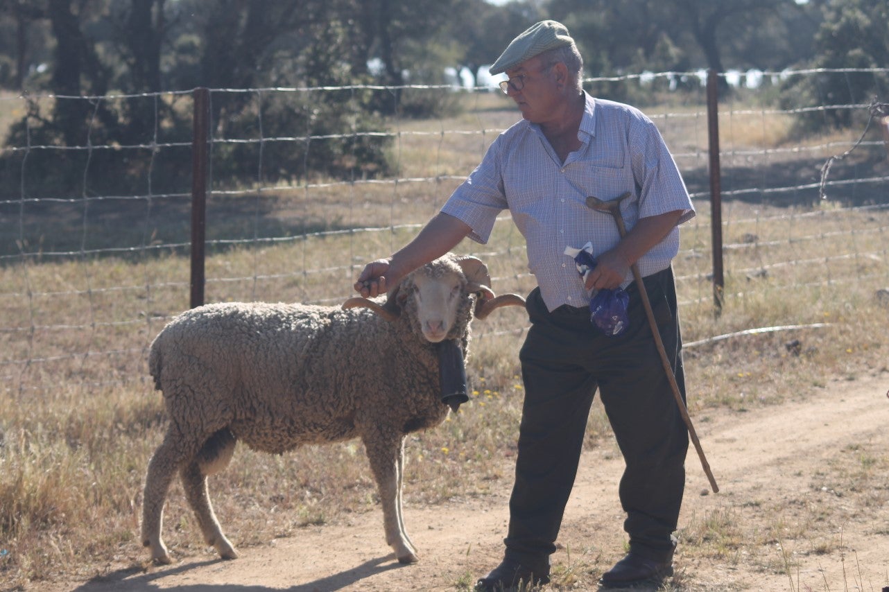 Imáenes de las actividades desarrolladas el domingo en la novena edición de 'vive la Trashumancia' (05-05-2019)