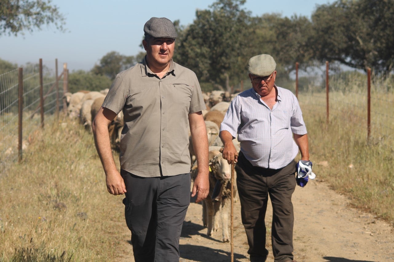 Imáenes de las actividades desarrolladas el domingo en la novena edición de 'vive la Trashumancia' (05-05-2019)