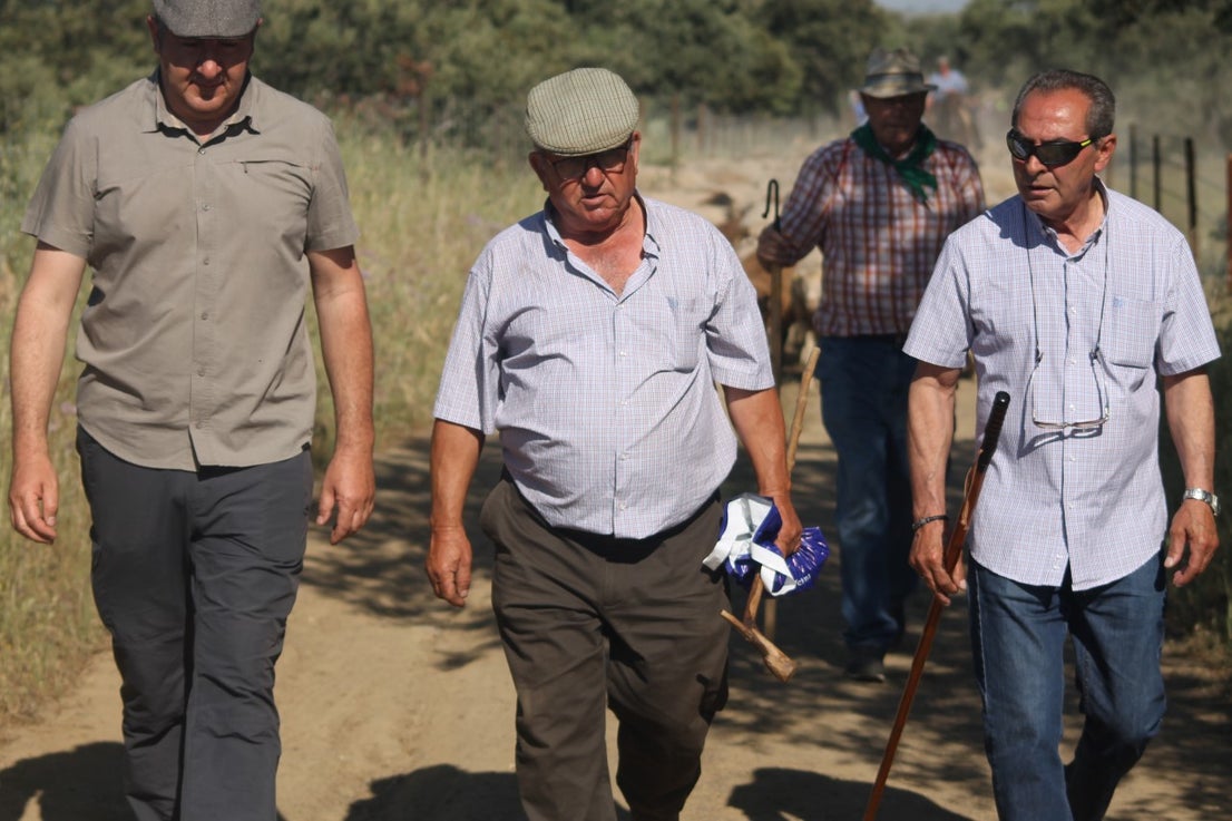Imáenes de las actividades desarrolladas el domingo en la novena edición de 'vive la Trashumancia' (05-05-2019)