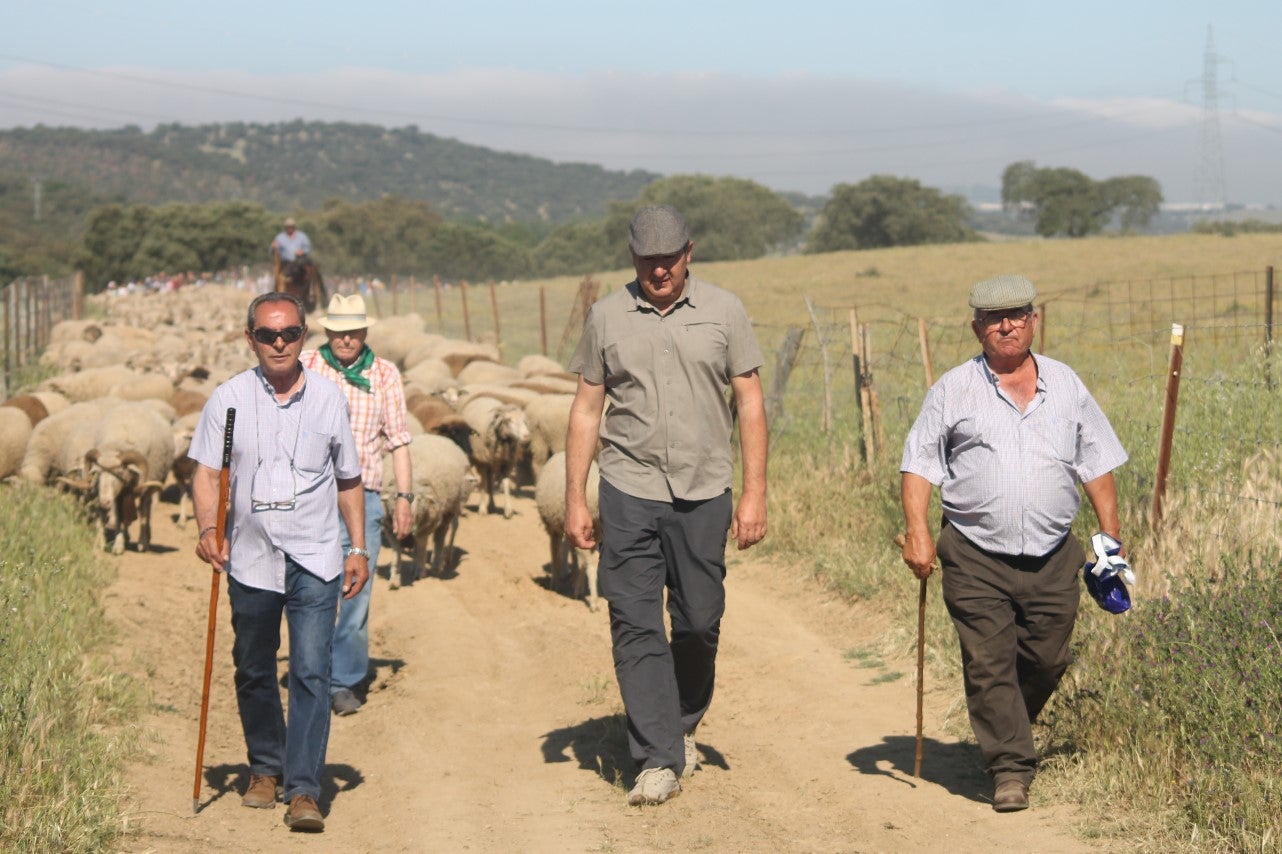 Imágenes de las actividades desarrolladas el domingo en la novena edición de 'vive la Trashumancia' (05-05-2019)